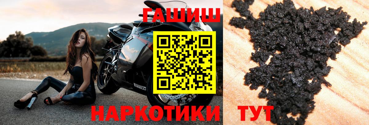 ГАШ Premium Кохма