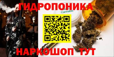 крисы Гусь-Хрустальный