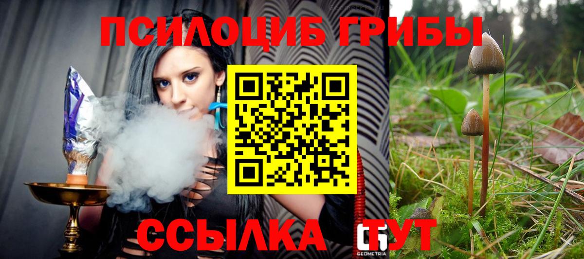 Псилоцибиновые грибы мицелий  Псилоцибиновые грибы Psilocybine cubensis  Вход с VPN  Кохма 